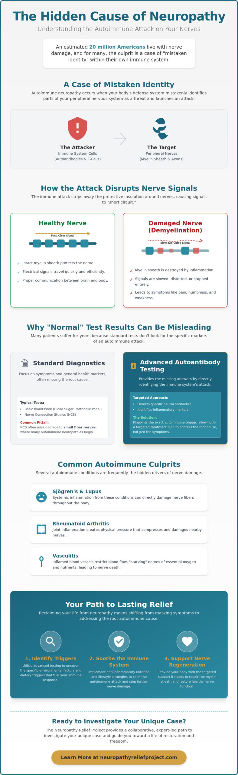 Autoimmune Neuropathy Links: When Your Immune System Attacks Your Nerves