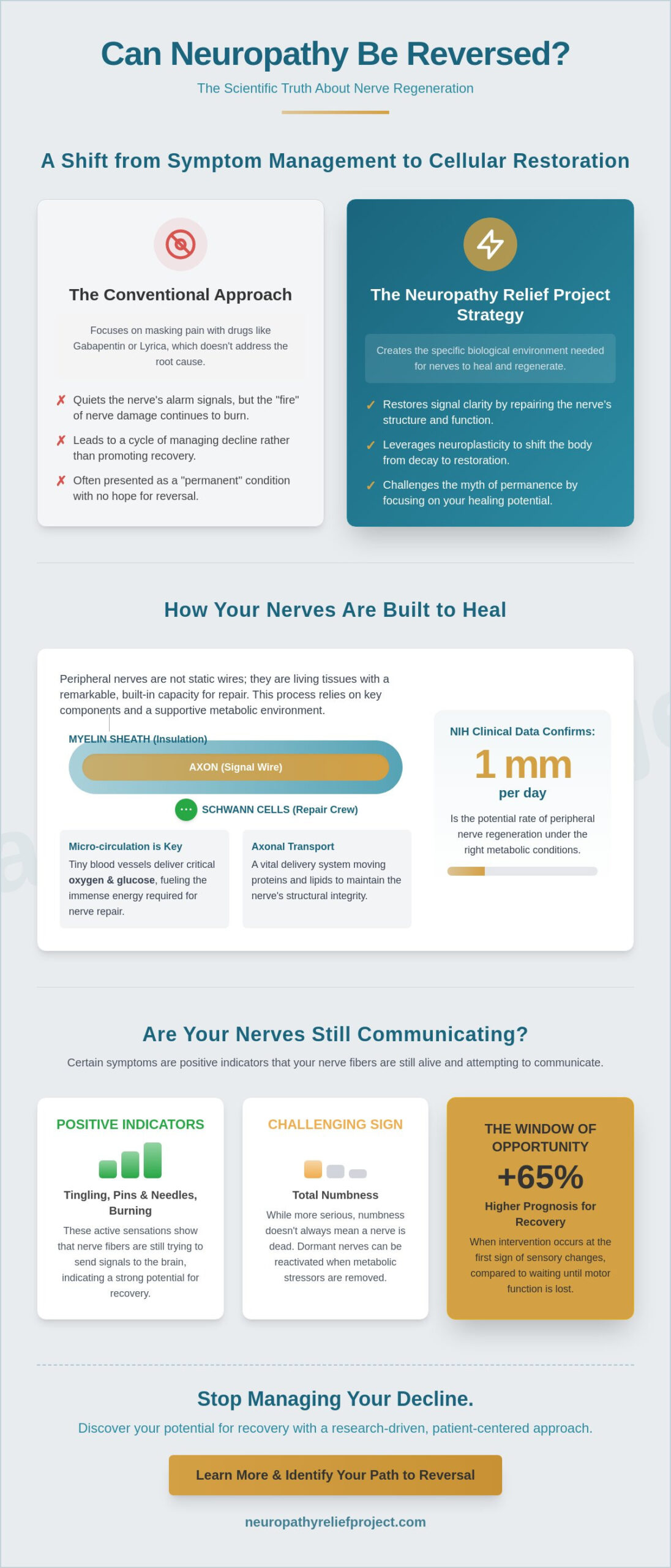 Can Neuropathy Be Reversed? The Biological Reality of Nerve Regeneration