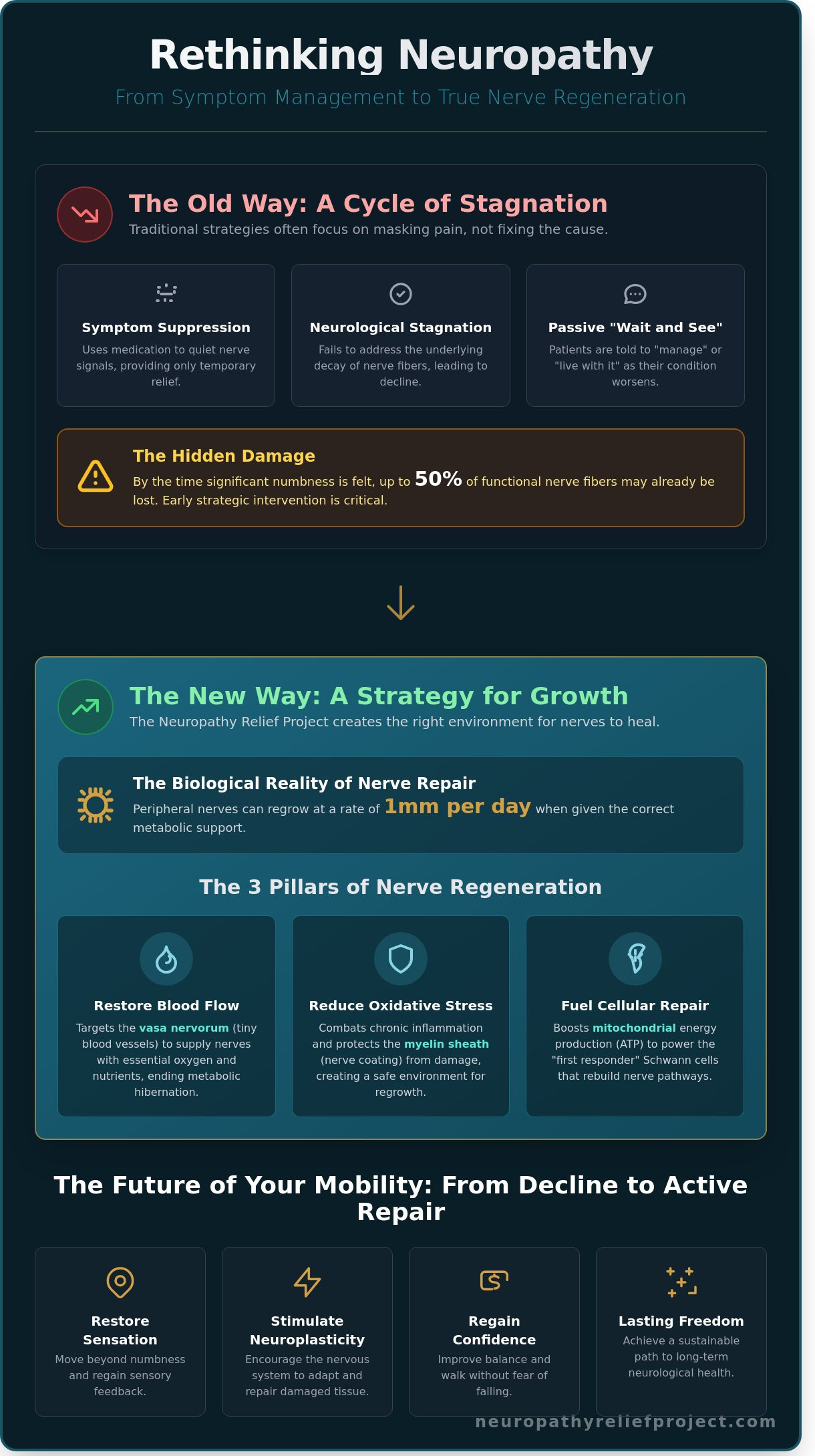 Neuropathy Relief Project Strategies for Growth: A Strategic Roadmap to Nerve Regeneration and Recovery