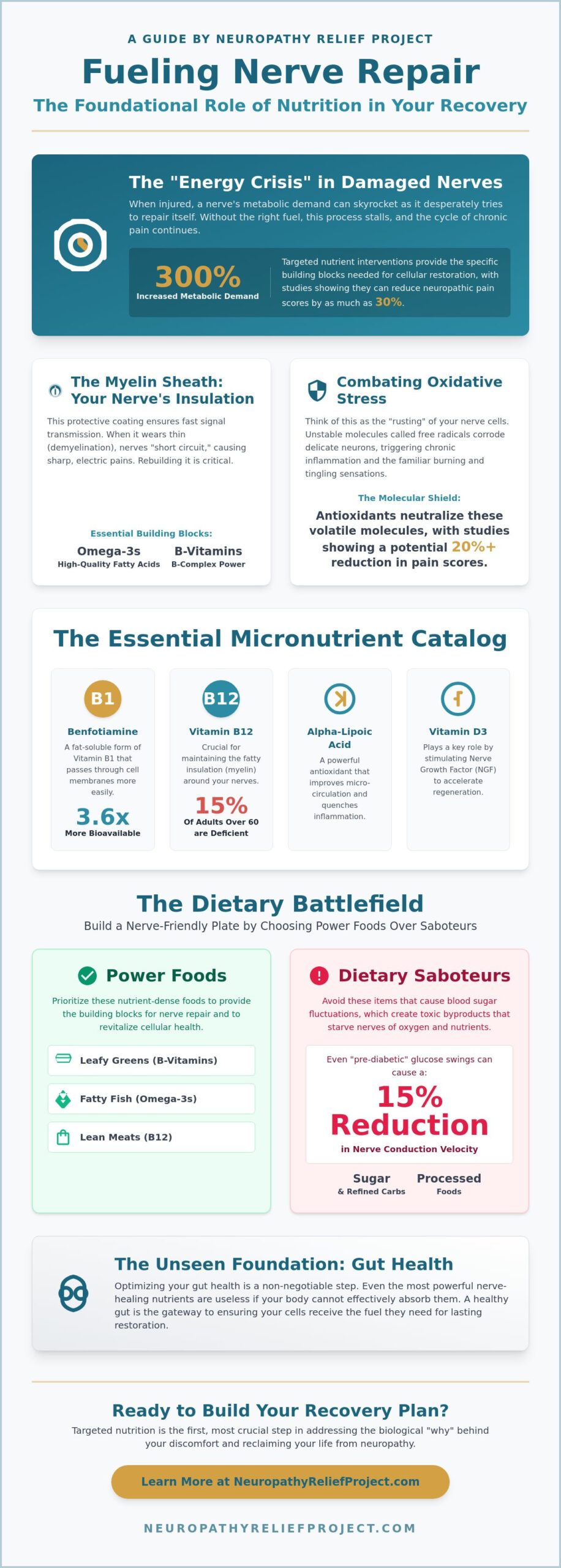 Nutrition for Nerve Health: A Comprehensive Guide to Fueling Recovery