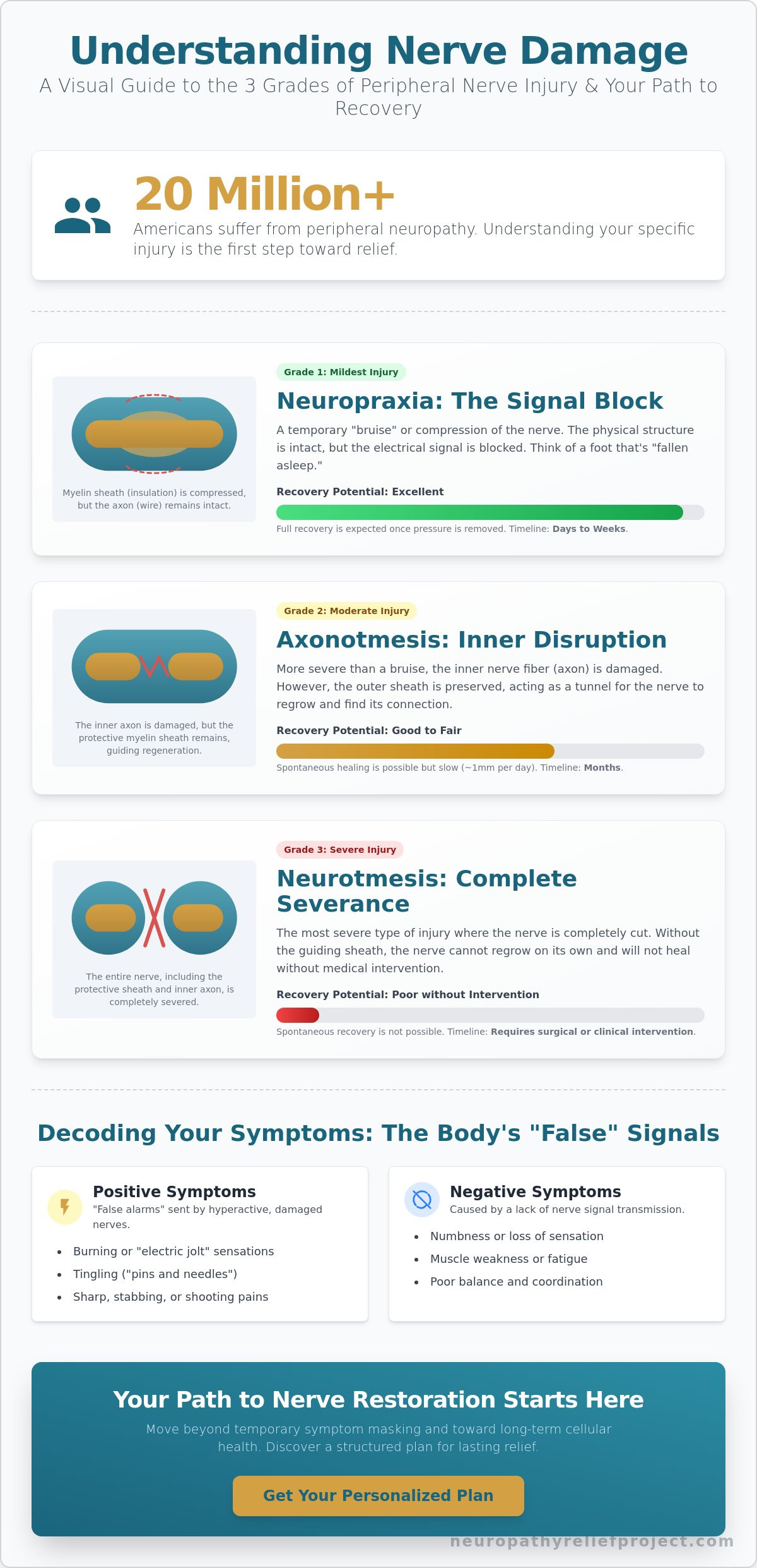 Understanding Nerve Damage Types: A Guide to Classifications and Recovery