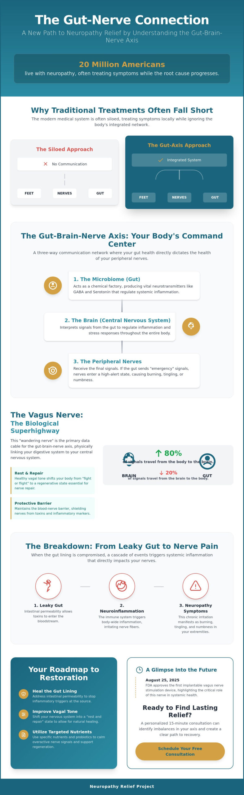 The Gut-Brain-Nerve Axis: How Your Microbiome Influences Peripheral Nerve Health