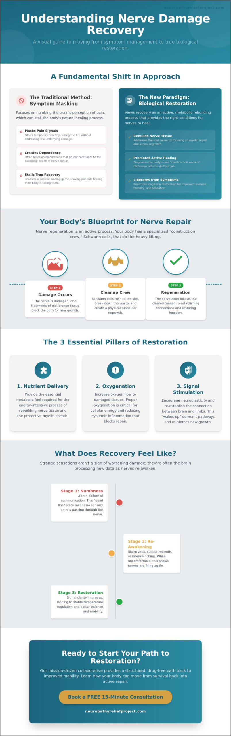 Understanding Nerve Damage Recovery: The Biological Path to Restoring Sensation in 2026