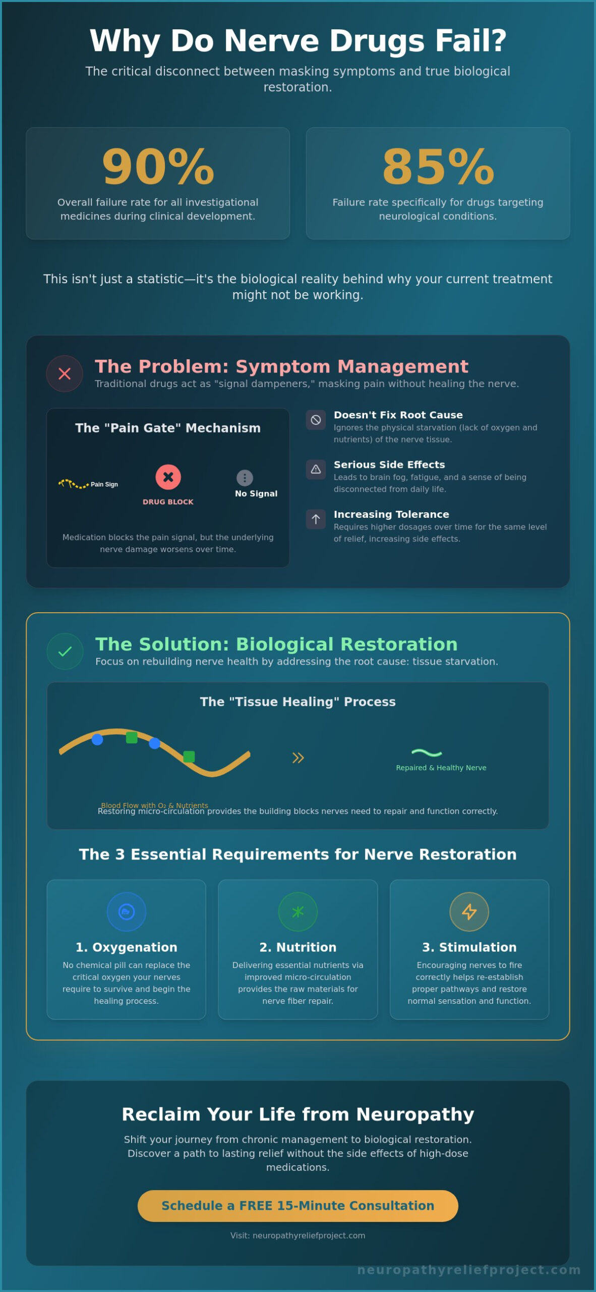 Why Nerve Drugs Fail: The Biological Truth Behind Stalled Neuropathy Relief