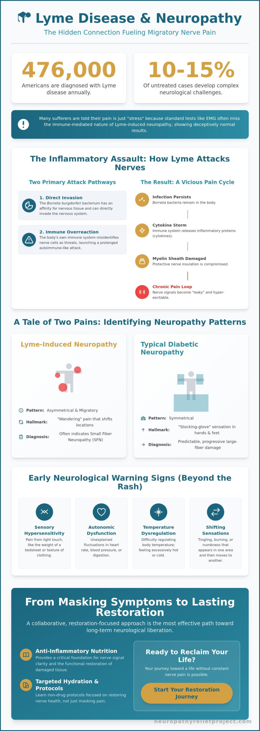 Lyme Disease and Neuropathy Symptoms: Identifying the Nerve Pain Connection in 2026